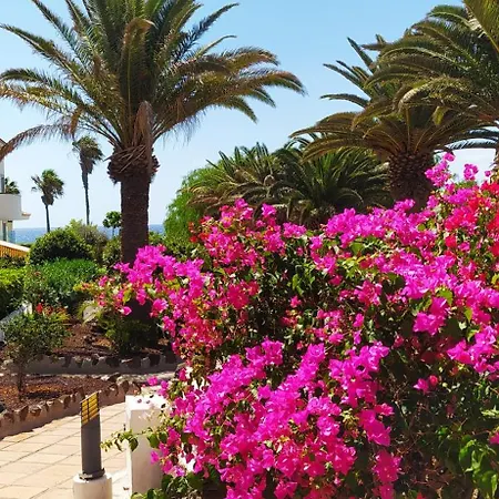 Virgo 552 Double Terrace - Double Oceanview - Tenerife